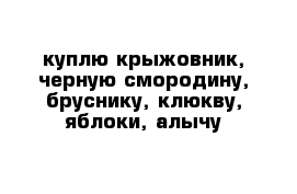 куплю крыжовник, черную смородину, бруснику, клюкву, яблоки, алычу